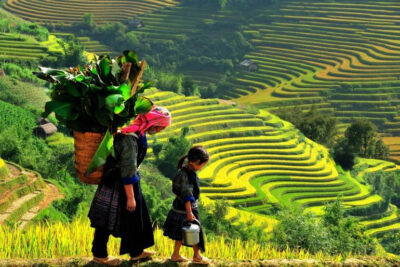 July in Sapa - Belle Maison Sapa Resort & Spa