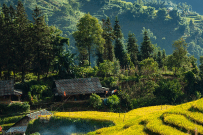 Hành trình phát triển ngành hospitality Sapa từ những giá trị văn hóa bản địa