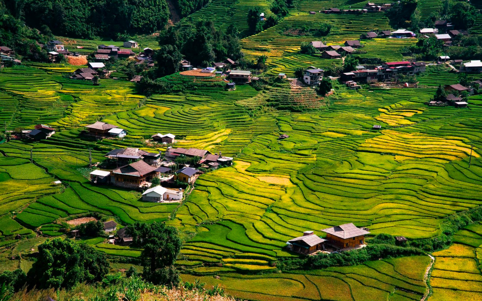À la découverte du village de Ta Van : La beauté sauvage et la culture unique du peuple Giayy 1 A Bird’s Eye View Of Ta Van Village.