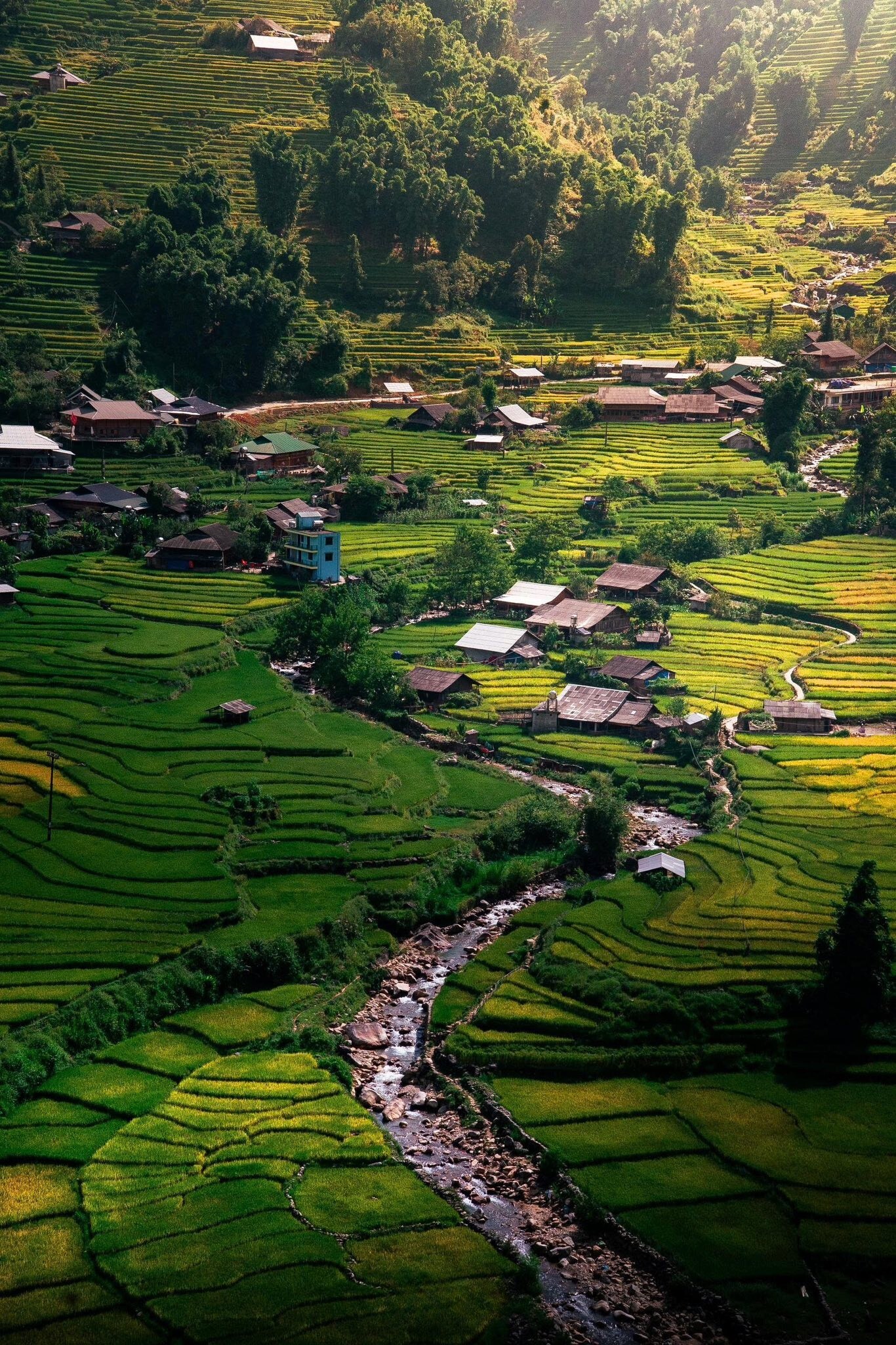 À la découverte du village de Ta Van : La beauté sauvage et la culture unique du peuple Giayy 5 A Stream Flowing Through The Terraced Fields Of Ta Van.