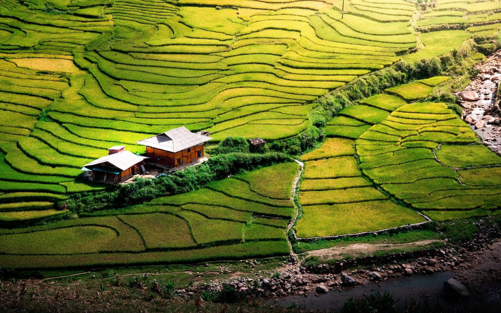 À la découverte du village de Ta Van : La beauté sauvage et la culture unique du peuple Giayy 3 Houses Nestled Among The Terraced Fields Of Ta Van.