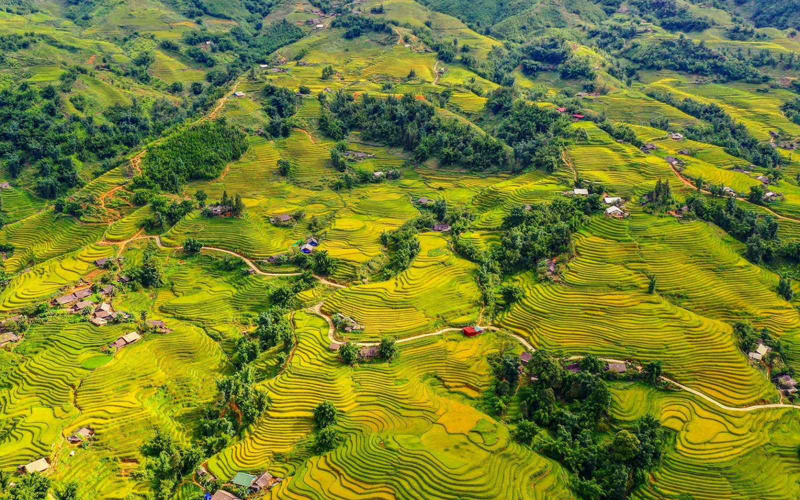 Light Packing And Sturdy Trekking Shoes Are Key Tips For A Complete Muong Hoa Valley Adventure.
