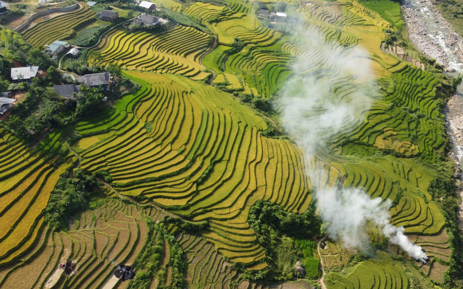 Muong Hoa Valley During The Vibrant Rhododendron Season – The Perfect Time For Travelers To Explore And Check In.