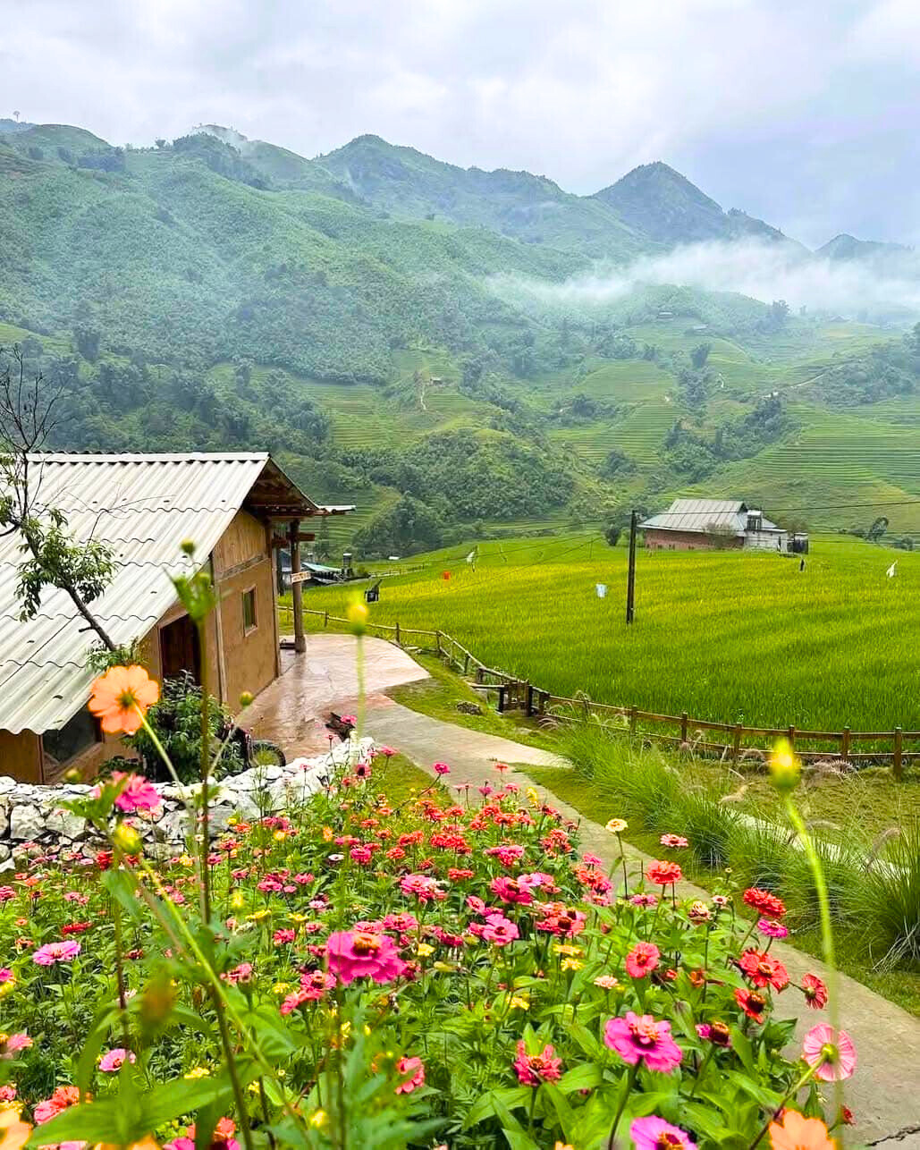 À la découverte du village de Ta Van : La beauté sauvage et la culture unique du peuple Giayy 8 Ta Van Village Adorned With Flowers And Green Rice Fields.
