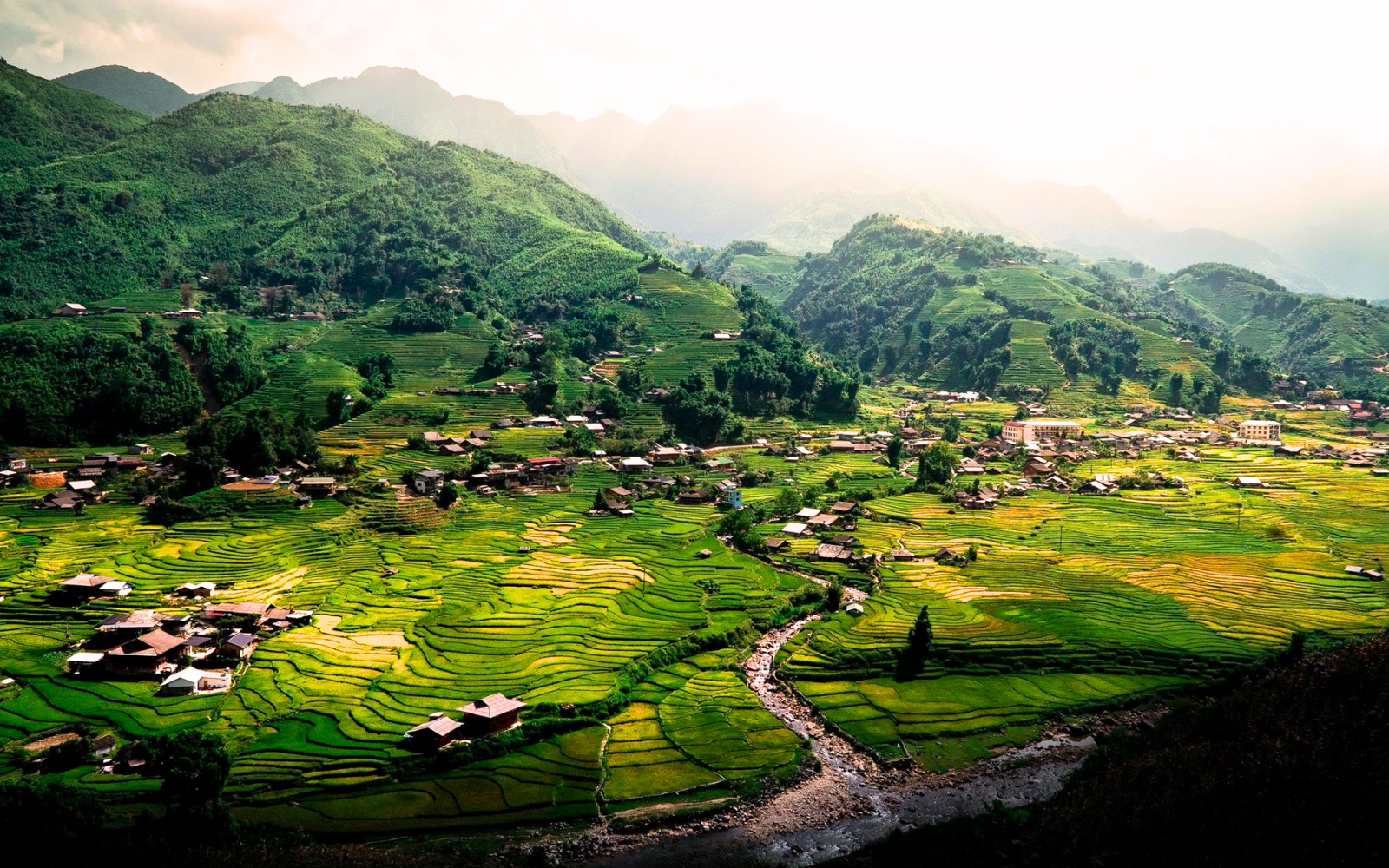 À la découverte du village de Ta Van : La beauté sauvage et la culture unique du peuple Giayy 4 Ta Van Village During The Golden Rice Season.