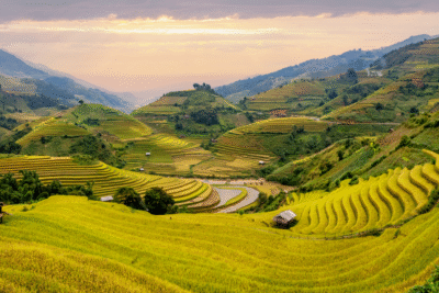 Vallée de Muong Hoa la chanson d’amour des montagnes du Nord-Ouest