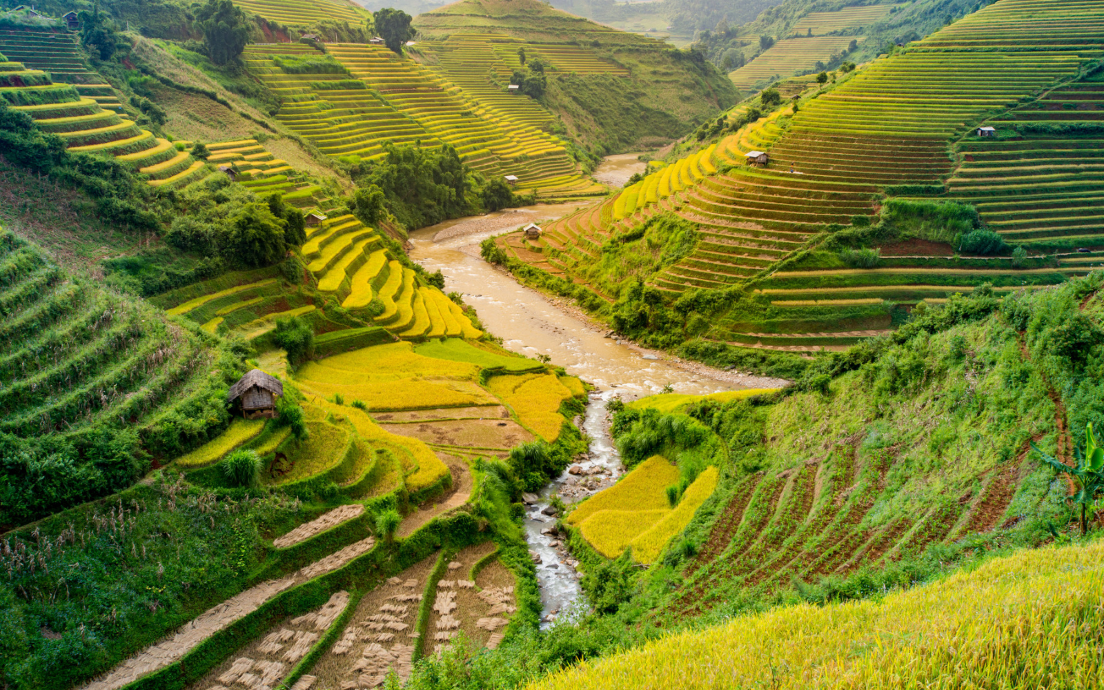 The Crystal Clear Muong Hoa Stream Winding Through Terraced Fields And Peaceful Villages.