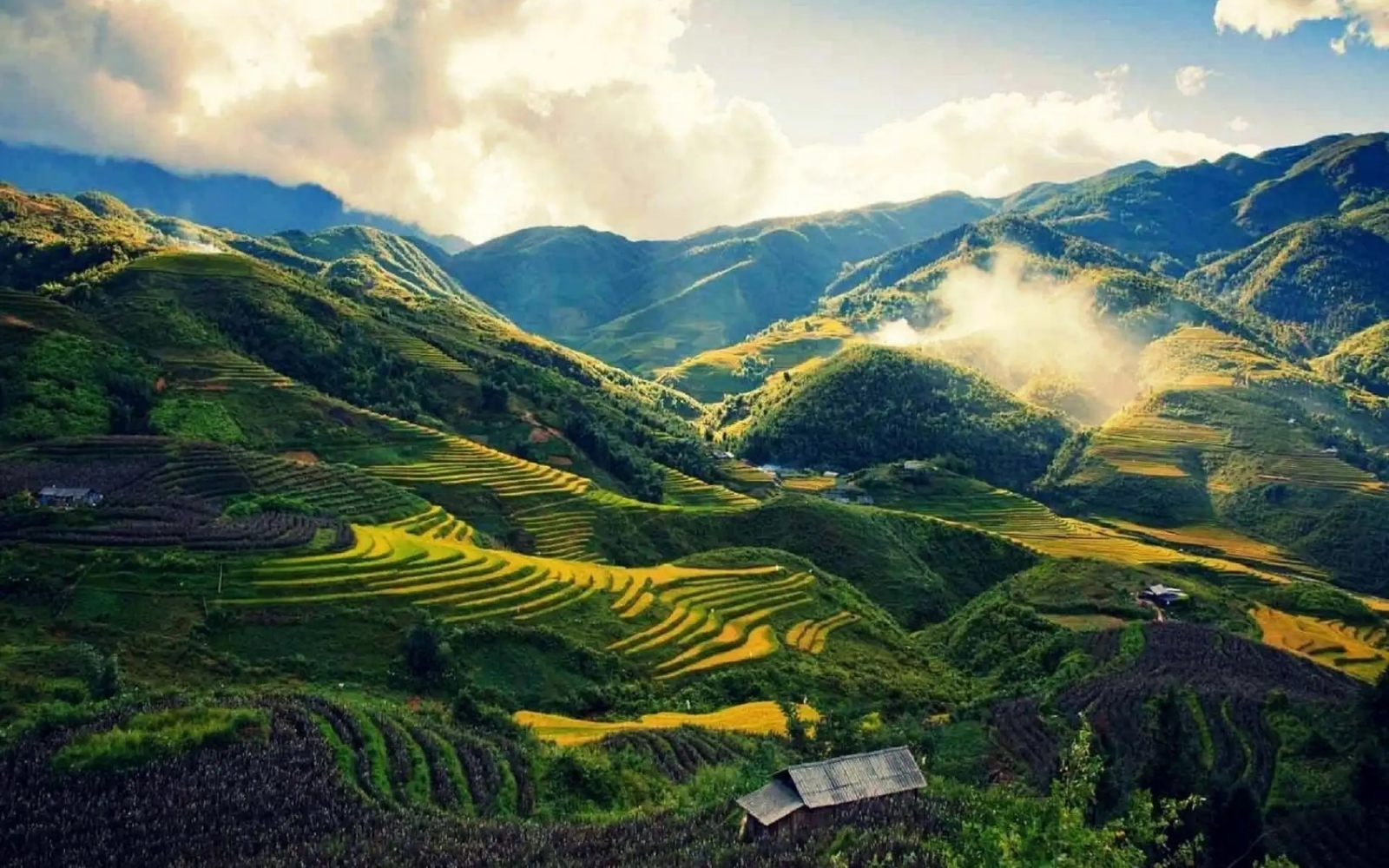 Trekking In Muong Hoa Valley – A Perfect Experience To Immerse Yourself In Nature And Local Culture.