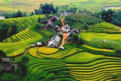 Laochai