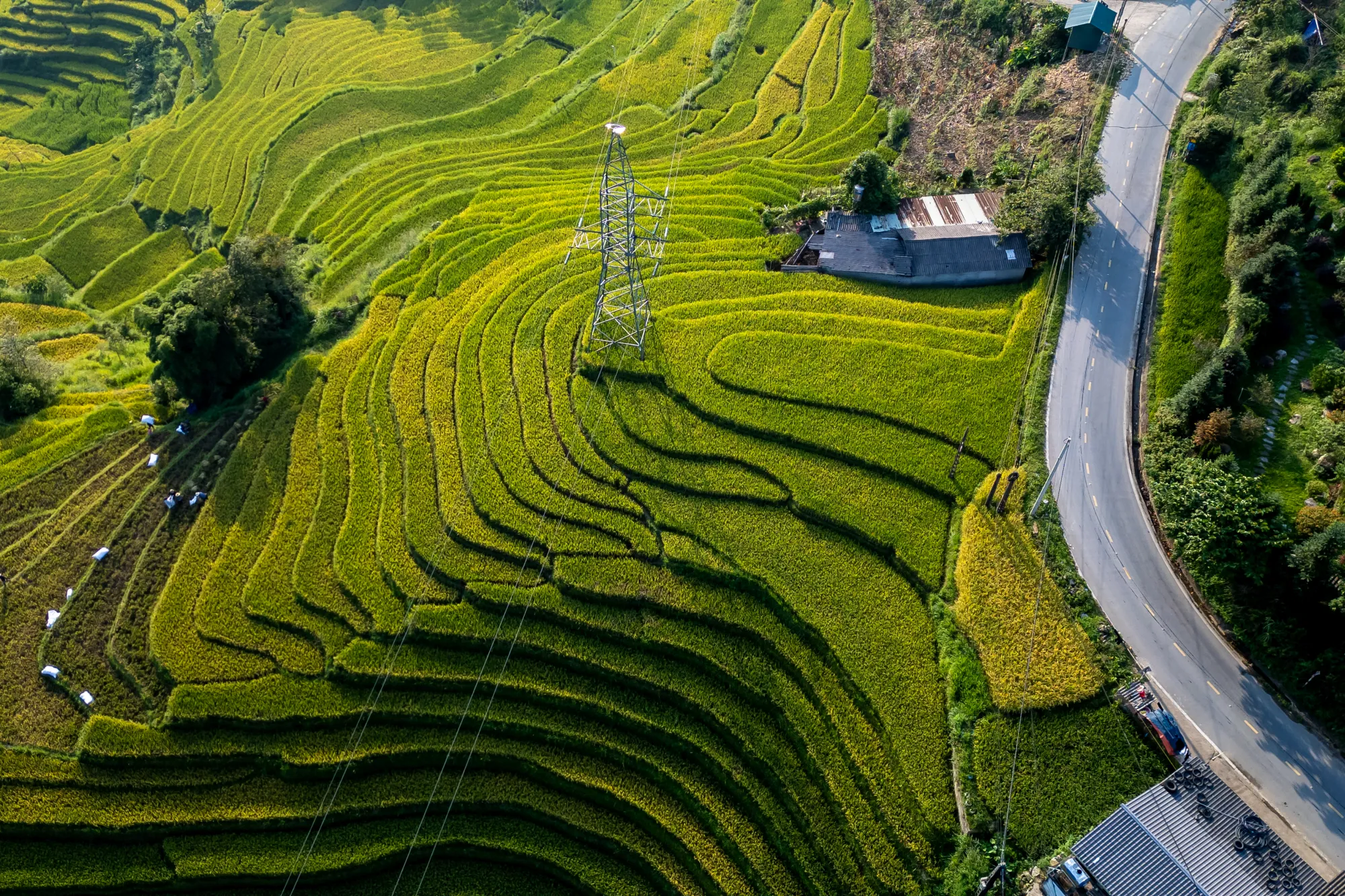 Sapa 007 2000