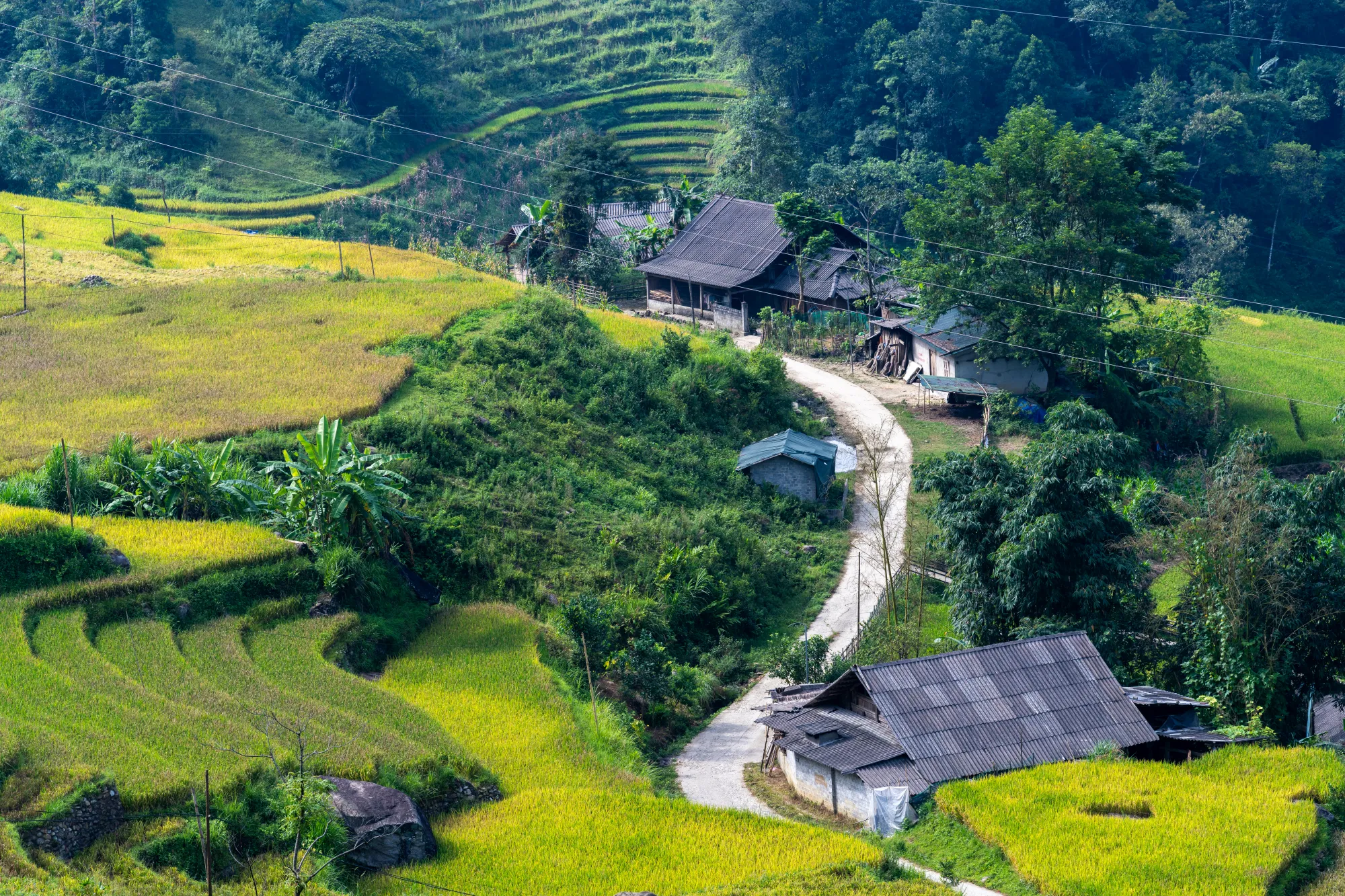 Sapa 014 2000